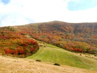 吾妻山