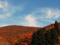 比婆山