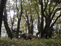 古事記への路「比婆山御陵」