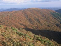 竜王山